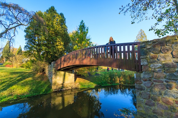 Mostek w parku w Żelazowej Woli
